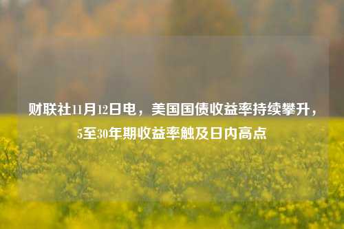 财联社11月12日电，美国国债收益率持续攀升，5至30年期收益率触及日内高点