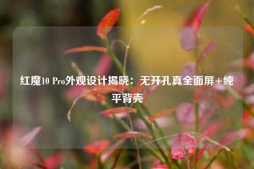 红魔10 Pro外观设计揭晓：无开孔真全面屏+纯平背壳