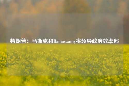 特朗普：马斯克和Ramaswamy将领导政府效率部