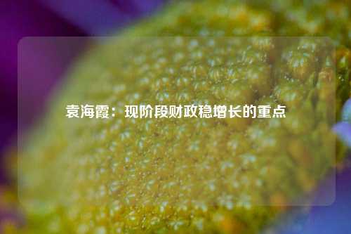 袁海霞：现阶段财政稳增长的重点