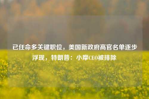 已任命多关键职位，美国新政府高官名单逐步浮现，特朗普：小摩CEO被排除