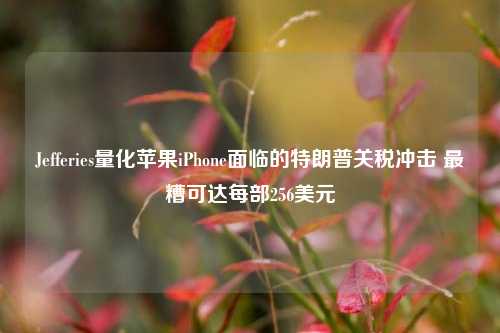 Jefferies量化苹果iPhone面临的特朗普关税冲击 最糟可达每部256美元