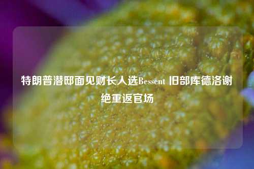 特朗普潜邸面见财长人选Bessent 旧部库德洛谢绝重返官场