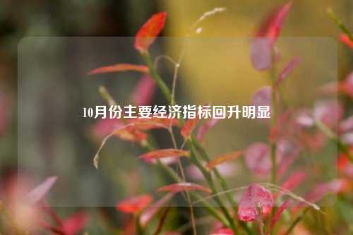 10月份主要经济指标回升明显