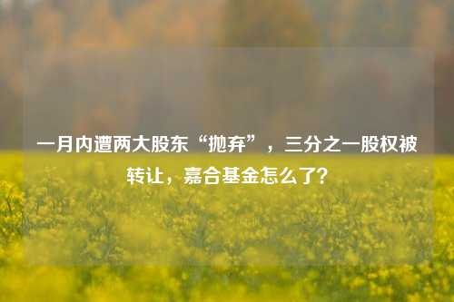 一月内遭两大股东“抛弃”，三分之一股权被转让，嘉合基金怎么了？