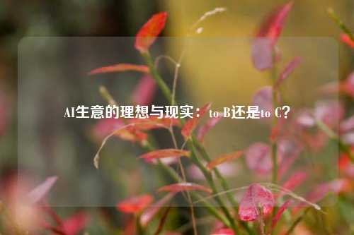 AI生意的理想与现实：to B还是to C？