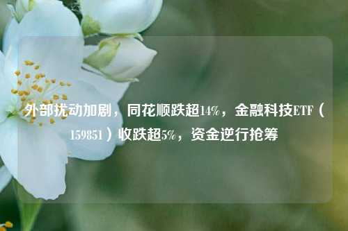 外部扰动加剧，同花顺跌超14%，金融科技ETF（159851）收跌超5%，资金逆行抢筹