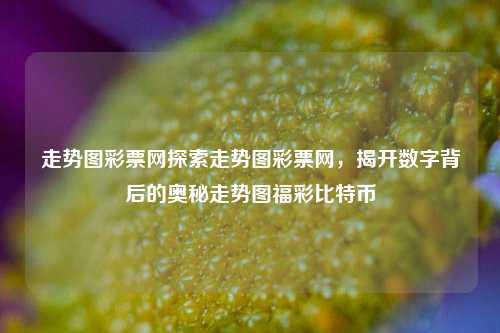 走势图彩票网探索走势图彩票网，揭开数字背后的奥秘走势图福彩比特币