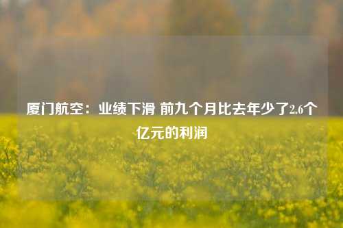 厦门航空：业绩下滑 前九个月比去年少了2.6个亿元的利润