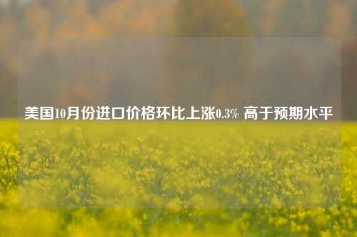 美国10月份进口价格环比上涨0.3% 高于预期水平