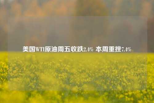 美国WTI原油周五收跌2.4% 本周重挫7.4%