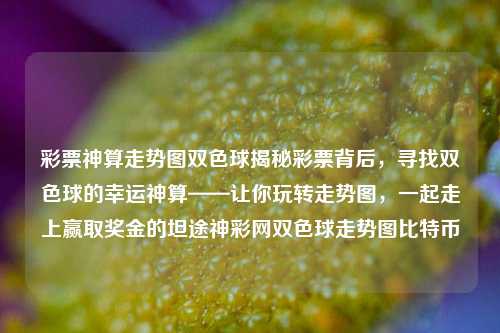 彩票神算走势图双色球揭秘彩票背后，寻找双色球的幸运神算——让你玩转走势图，一起走上赢取奖金的坦途神彩网双色球走势图比特币