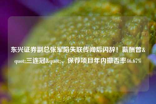 东兴证券副总张军陷失联传闻后闪辞！薪酬曾"三连冠"、保荐项目年内撤否率46.67%