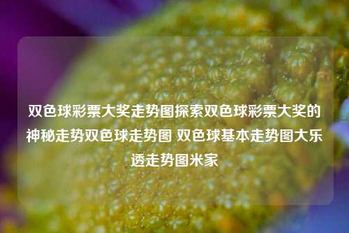 双色球彩票大奖走势图，探索其中的神秘与魅力