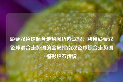 双色球混合走势图：全局指南下的福彩奥秘