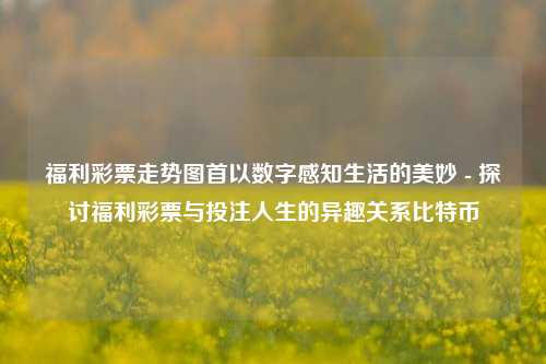 福利彩票走势图首以数字感知生活的美妙 - 探讨福利彩票与投注人生的异趣关系比特币