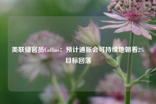 美联储官员Collins：预计通胀会可持续地朝着2%目标回落