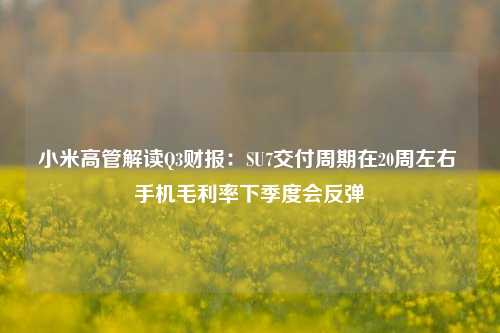 小米高管解读Q3财报：SU7交付周期在20周左右 手机毛利率下季度会反弹