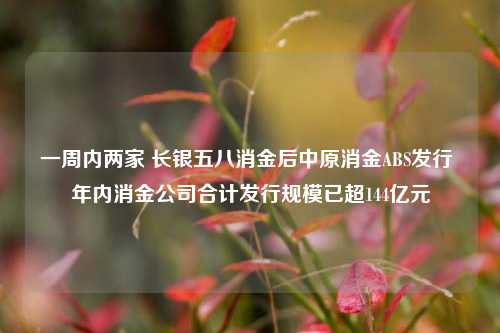 一周内两家 长银五八消金后中原消金ABS发行 年内消金公司合计发行规模已超144亿元