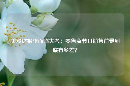 美股财报季面临大考：零售商节日销售前景到底有多差？