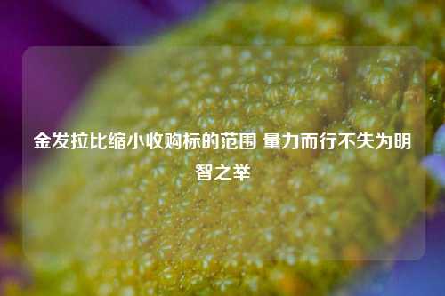 金发拉比缩小收购标的范围 量力而行不失为明智之举