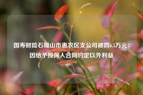 国寿财险石嘴山市惠农区支公司被罚6.5万元：因给予投保人合同约定以外利益