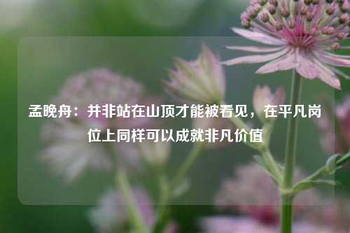 孟晚舟：并非站在山顶才能被看见，在平凡岗位上同样可以成就非凡价值