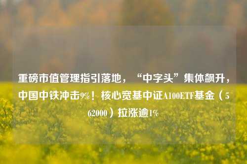 重磅市值管理指引落地，“中字头”集体飙升，中国中铁冲击9%！核心宽基中证A100ETF基金（562000）拉涨逾1%