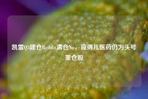 凯雷Q3建仓Reddit清仓Nu，窥得儿医药仍为头号重仓股