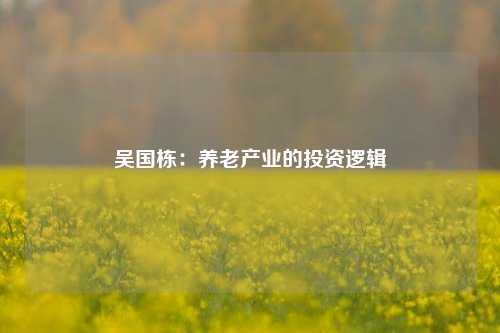 吴国栋：养老产业的投资逻辑