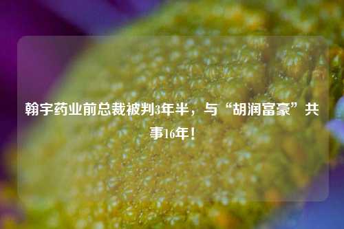 翰宇药业前总裁被判3年半，与“胡润富豪”共事16年！