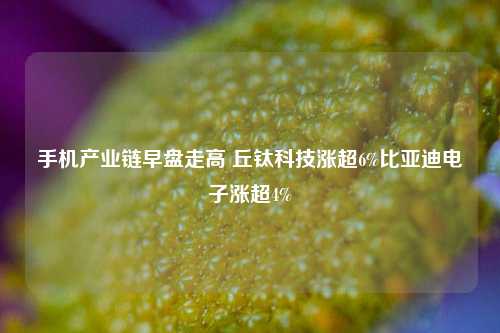 手机产业链早盘走高 丘钛科技涨超6%比亚迪电子涨超4%