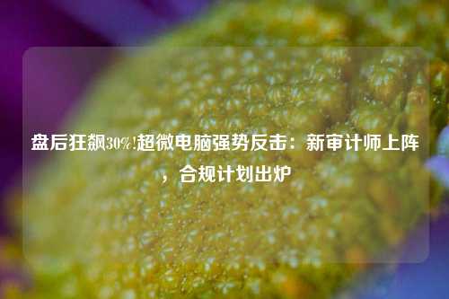 盘后狂飙30%!超微电脑强势反击：新审计师上阵，合规计划出炉