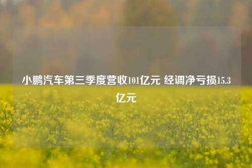 小鹏汽车第三季度营收101亿元 经调净亏损15.3亿元