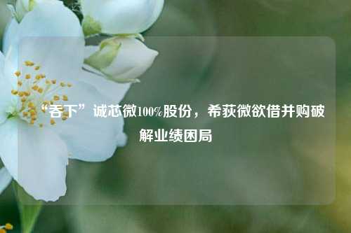 “吞下”诚芯微100%股份，希荻微欲借并购破解业绩困局