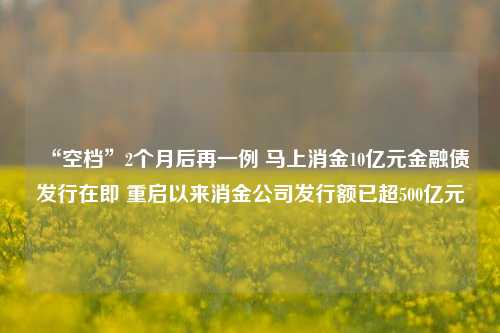 “空档”2个月后再一例 马上消金10亿元金融债发行在即 重启以来消金公司发行额已超500亿元