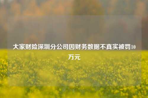 大家财险深圳分公司因财务数据不真实被罚10万元