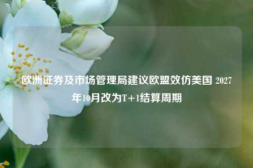 欧洲证券及市场管理局建议欧盟效仿美国 2027年10月改为T+1结算周期