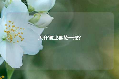 天齐锂业昙花一现？