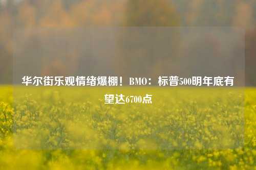 华尔街乐观情绪爆棚！BMO：标普500明年底有望达6700点