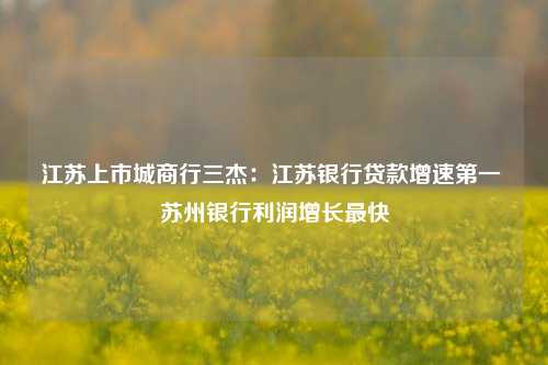 江苏上市城商行三杰：江苏银行贷款增速第一 苏州银行利润增长最快