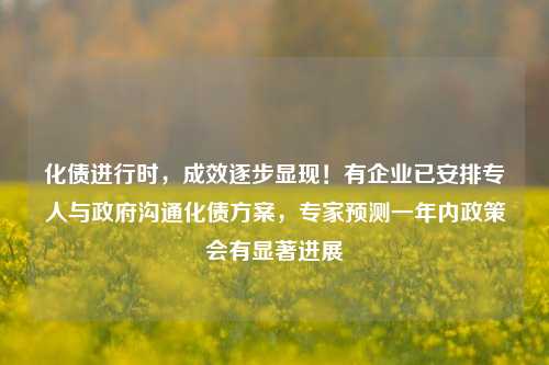 化债进行时，成效逐步显现！有企业已安排专人与政府沟通化债方案，专家预测一年内政策会有显著进展