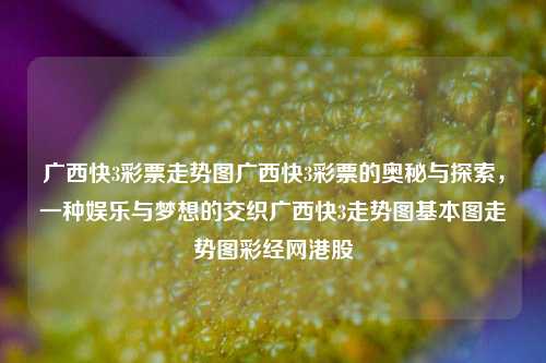 广西快3彩票走势图广西快3彩票的奥秘与探索，一种娱乐与梦想的交织广西快3走势图基本图走势图彩经网港股