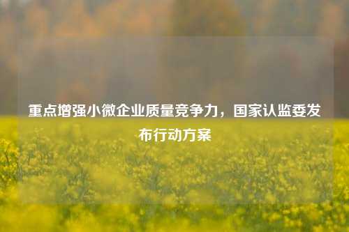 重点增强小微企业质量竞争力，国家认监委发布行动方案