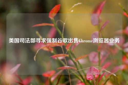 美国司法部寻求强制谷歌出售Chrome浏览器业务