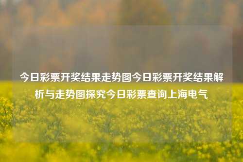 今日彩票开奖结果走势图今日彩票开奖结果解析与走势图探究今日彩票查询上海电气