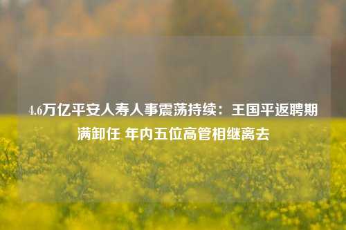 4.6万亿平安人寿人事震荡持续：王国平返聘期满卸任 年内五位高管相继离去