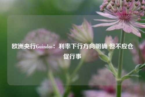 欧洲央行Guindos：利率下行方向明确 但不应仓促行事