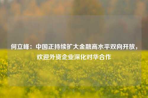 何立峰：中国正持续扩大金融高水平双向开放，欢迎外资企业深化对华合作