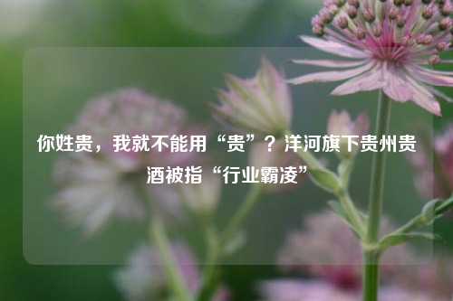 你姓贵，我就不能用“贵”？洋河旗下贵州贵酒被指“行业霸凌”